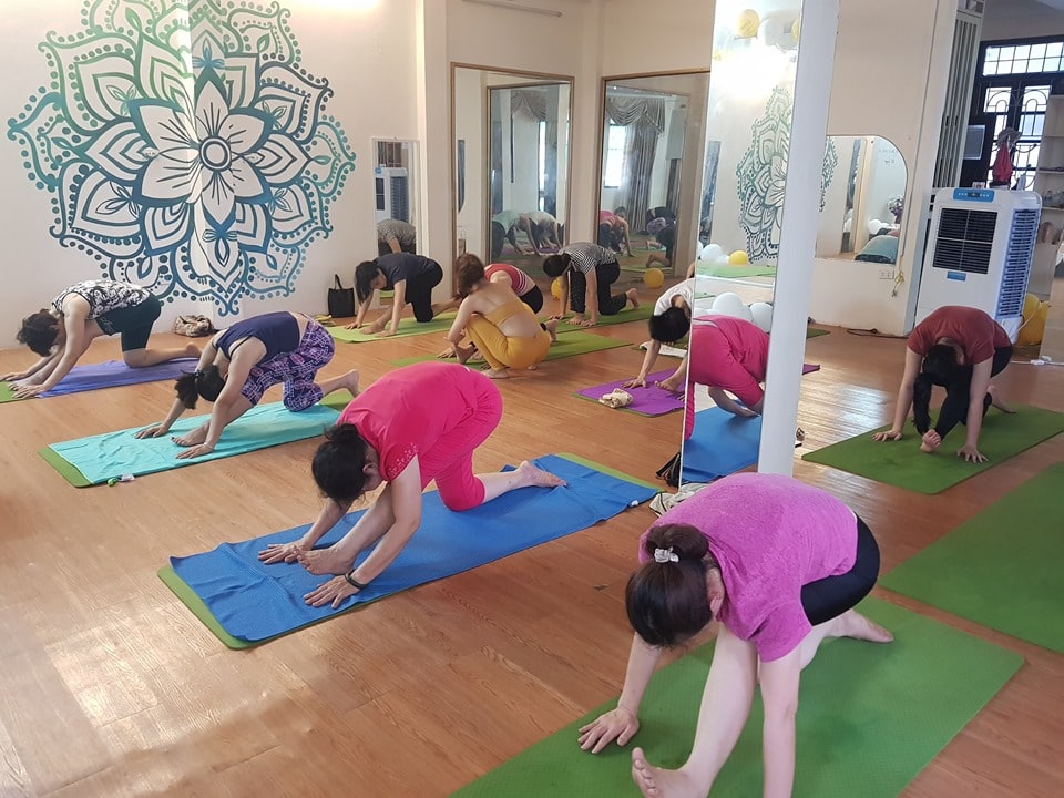 Âu Viêt Yoga Centre