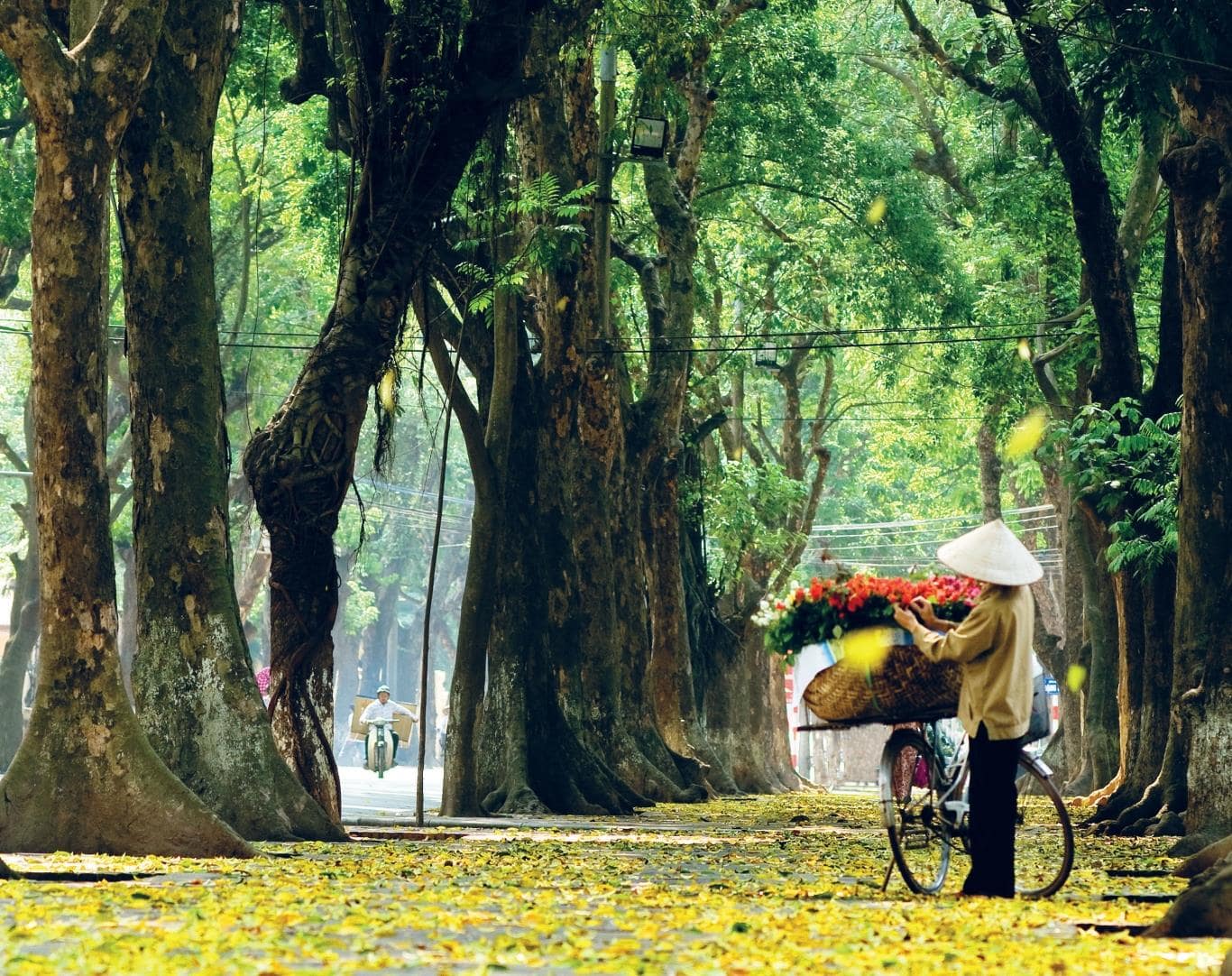 Địa điểm lãng mạn ở Hà Nội