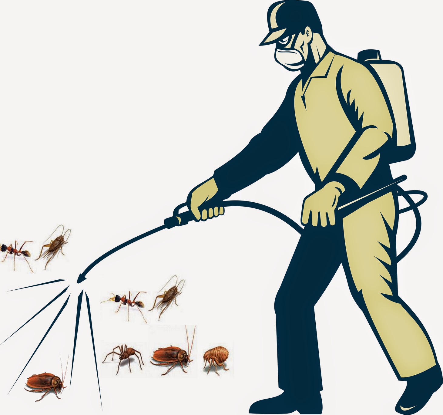 Dịch vụ diệt côn trùng Hà Nội