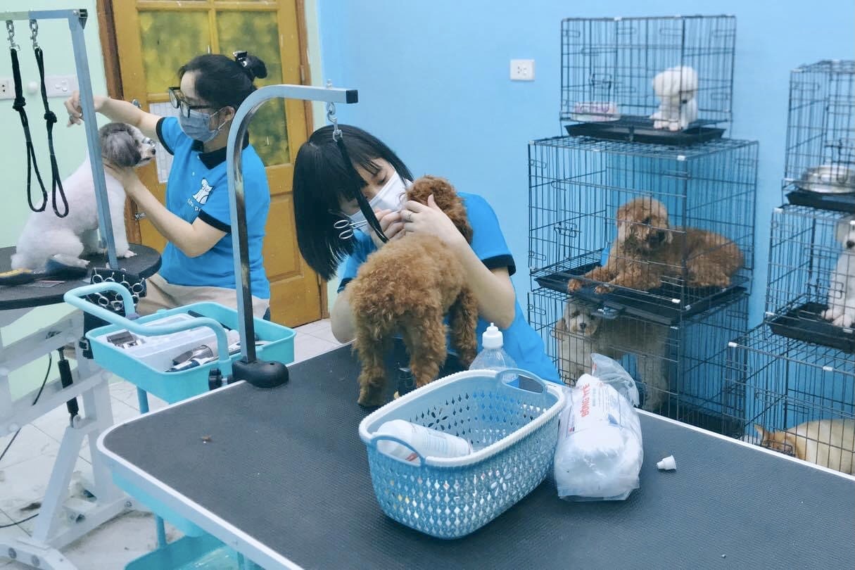Spa Chó Mèo Hà Nội