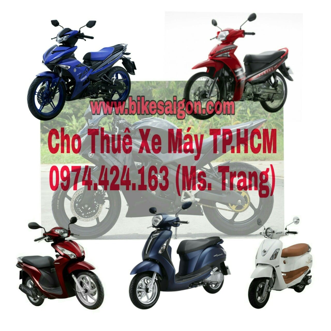 thuê xe máy quận Tân Bình sài gòn