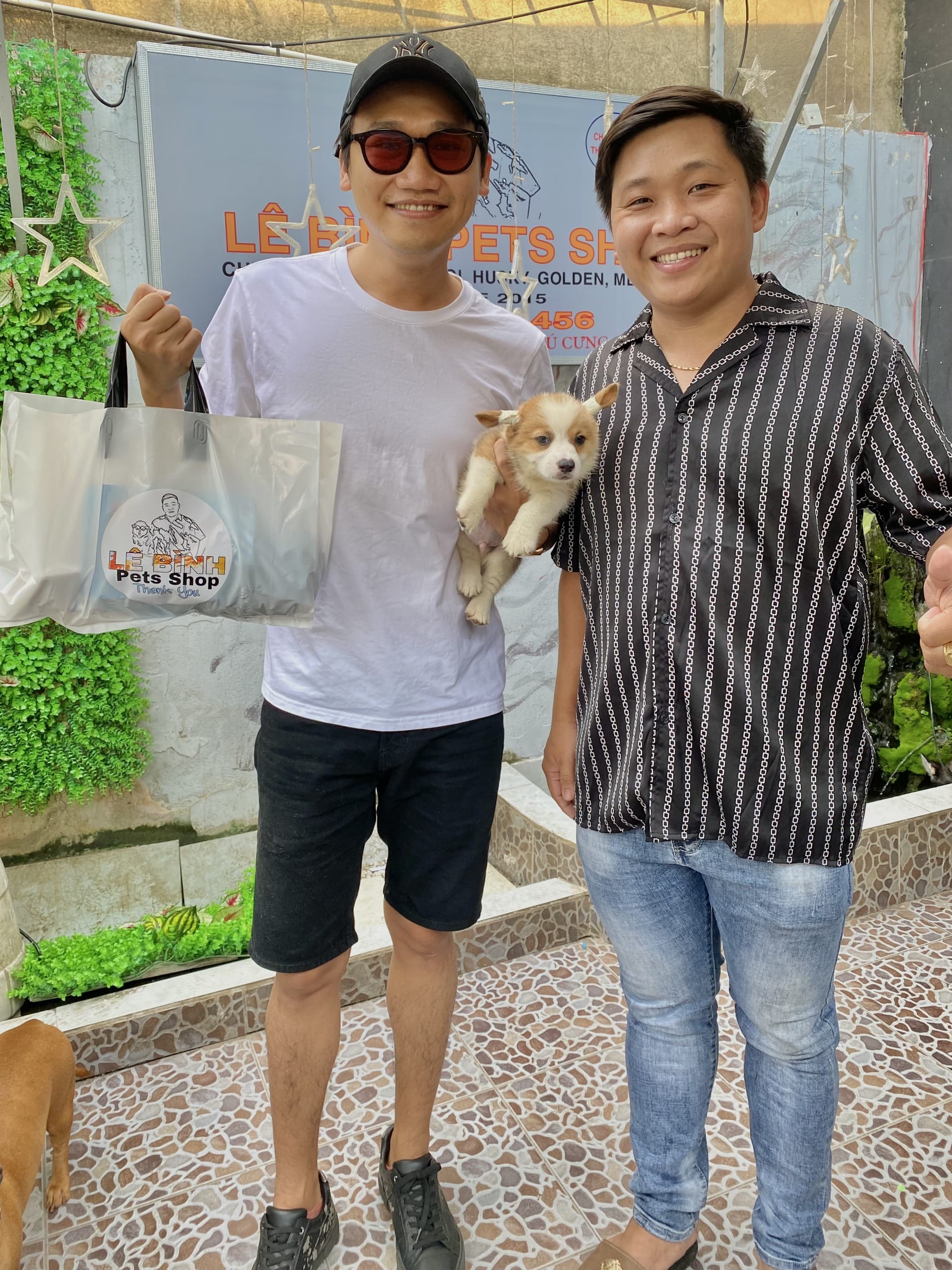 Shop Chó Cảnh Sài Gòn – 20+ Địa Điểm Hấp Dẫn Với Giá Rẻ Bất Ngờ