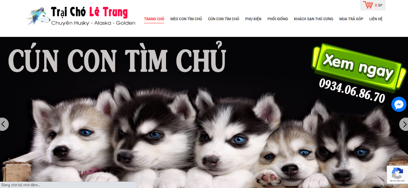 Hồ Chí Minh Pet Dog Shop