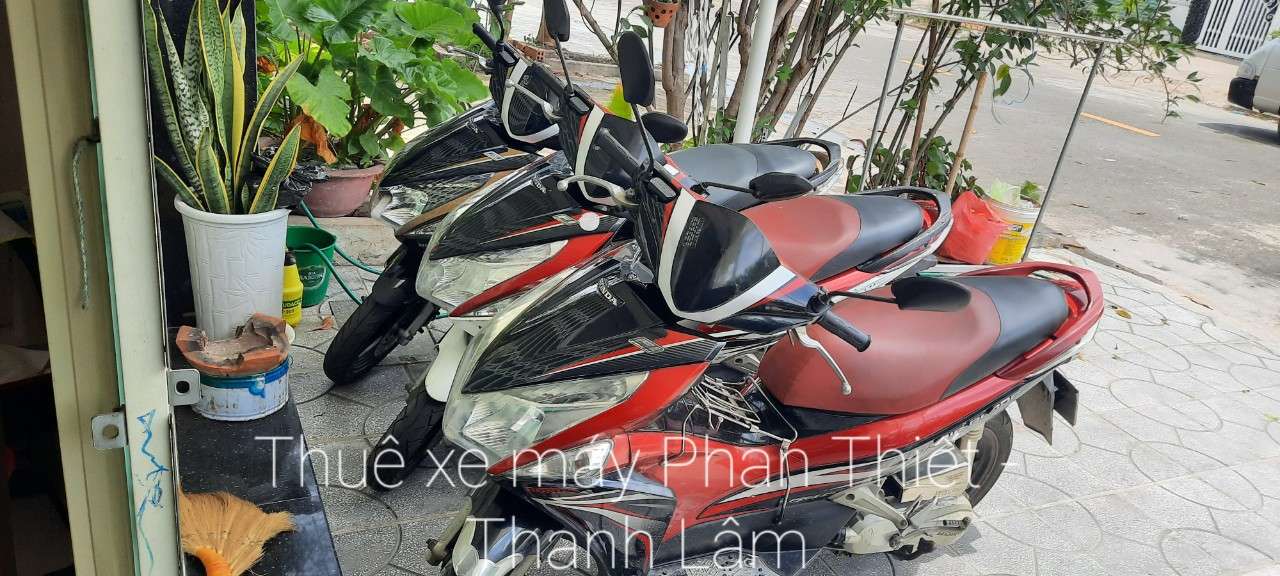 cho thuê xe máy tại Phan Thiết