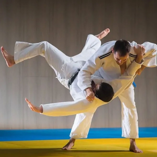 võ judo