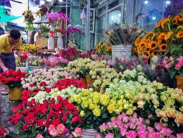 Top Shop hoa tươi đẹp nhất QL19 Khám phá vẻ đẹp của Tuy Phước, Bình Định