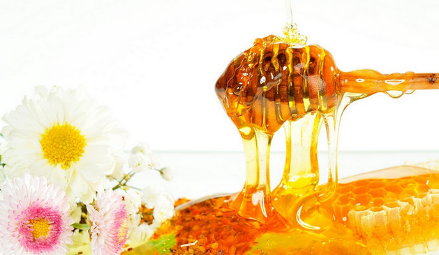 mật ong hoa cà phê daklak