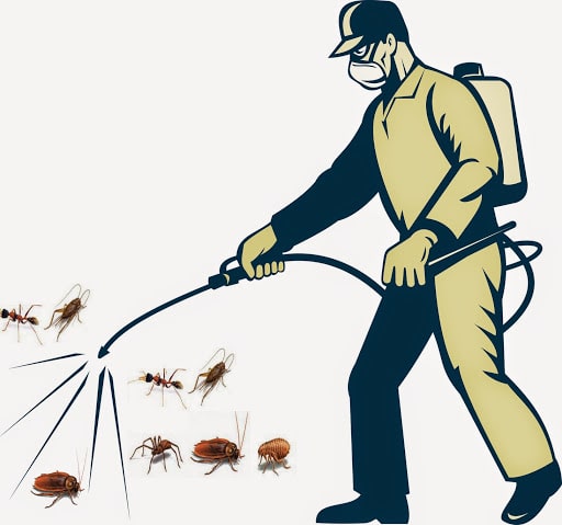 Dịch Vụ Phun Muỗi Tại Vinh