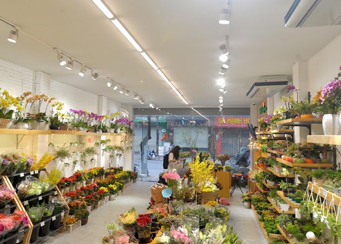 Shop hoa tươi Tây Ninh