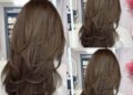 Salon Bắc Trần Tiến
