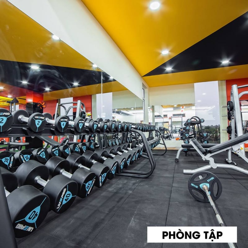 Phòng Gym BMT GYM BMT Fitness