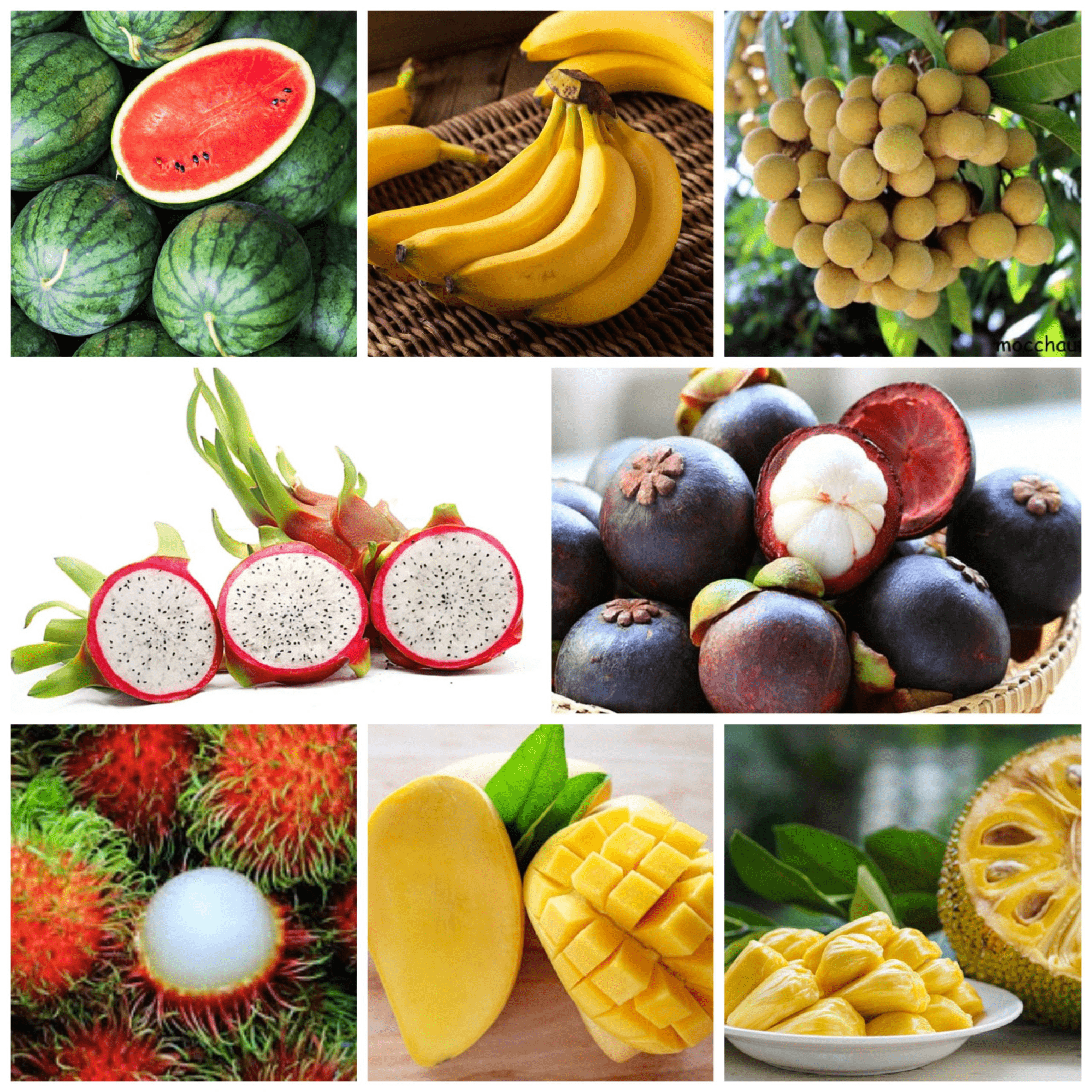một số tiêu chuẩn cho trái cây xuất khẩu