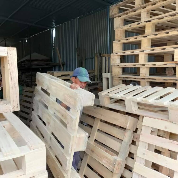 Pallet gỗ Nha Trang