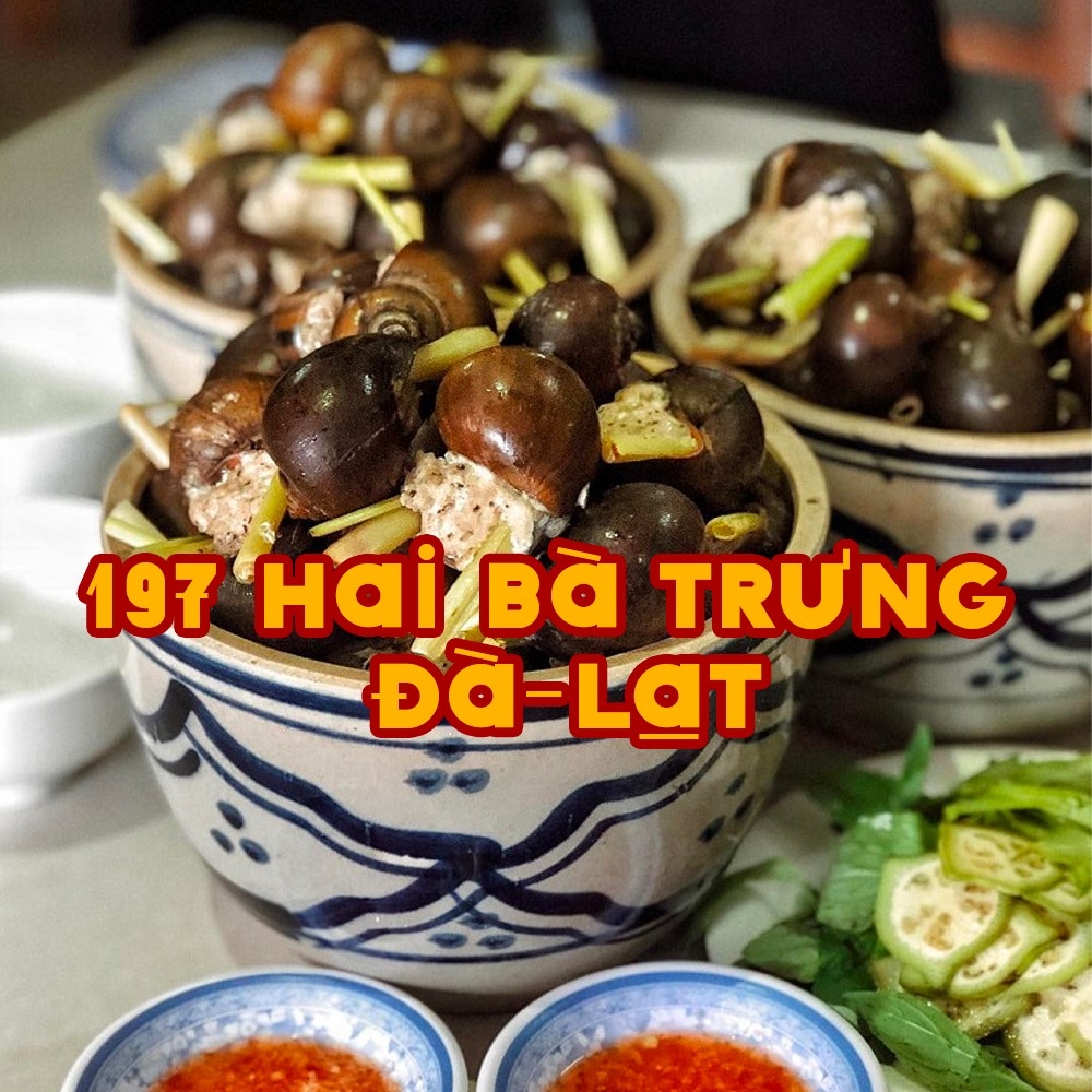 Ốc 33