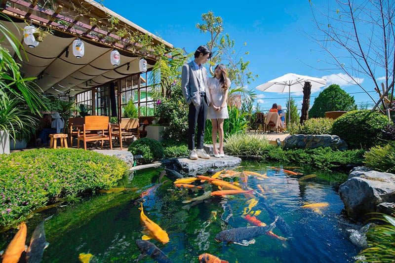 cafe cá koi Đà Lạt Không gian cực chill của cafe cá Koi Đà Lạt mang phong cách Nhật Bản