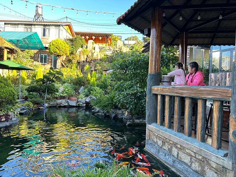 cafe cá Koi Đà Lạt Các em bé thỏa thích cho cá Koi ăn khi mua gói thức ăn 10.000d tại Hana Coffee & Tea