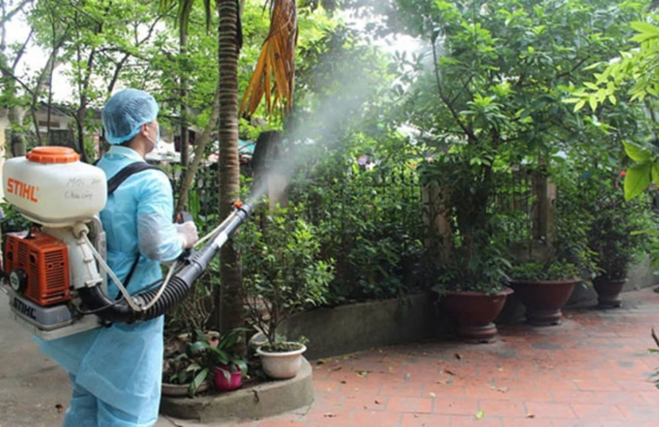 diệt mối tại Phú Yên