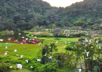 Khu du lịch sinh thái Ninh Bình