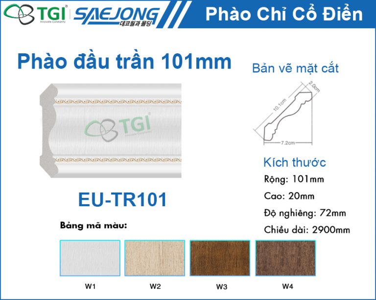 Top 5 Đơn Vị Thi Công Phào Chỉ Quy Nhơn Uy Tín Nhất Hiện Nay