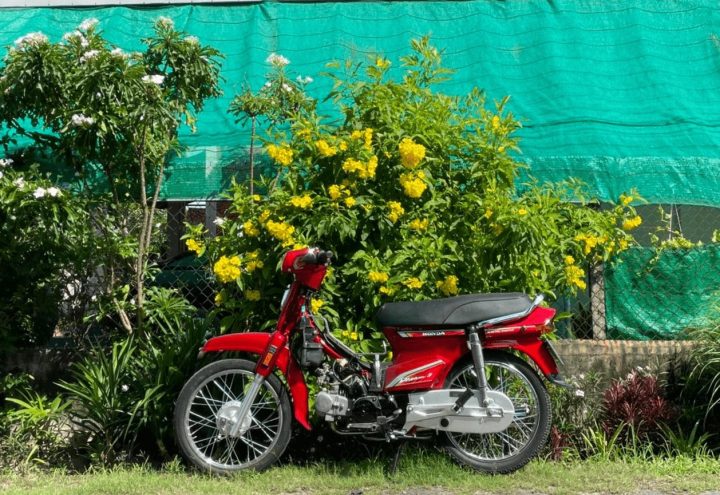 xe máy cũ Tây Ninh