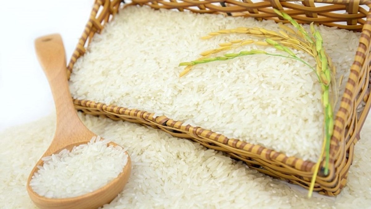 đại lý gạo vũng tàu