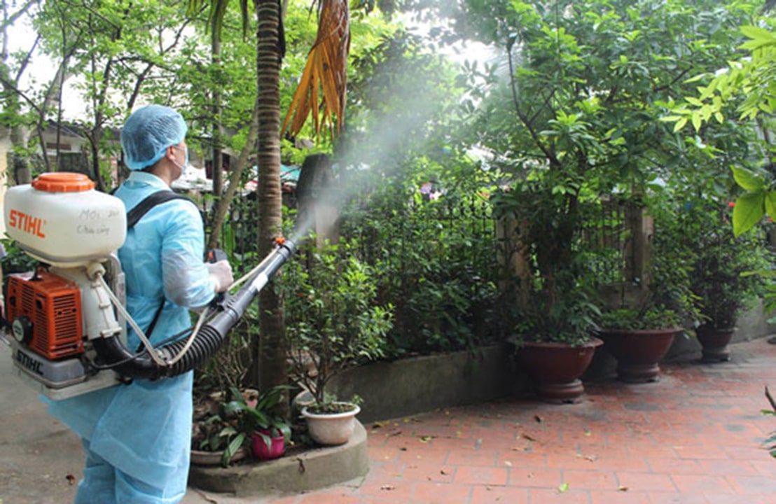 dịch vụ phun thuốc muỗi tại Vũng Tàu