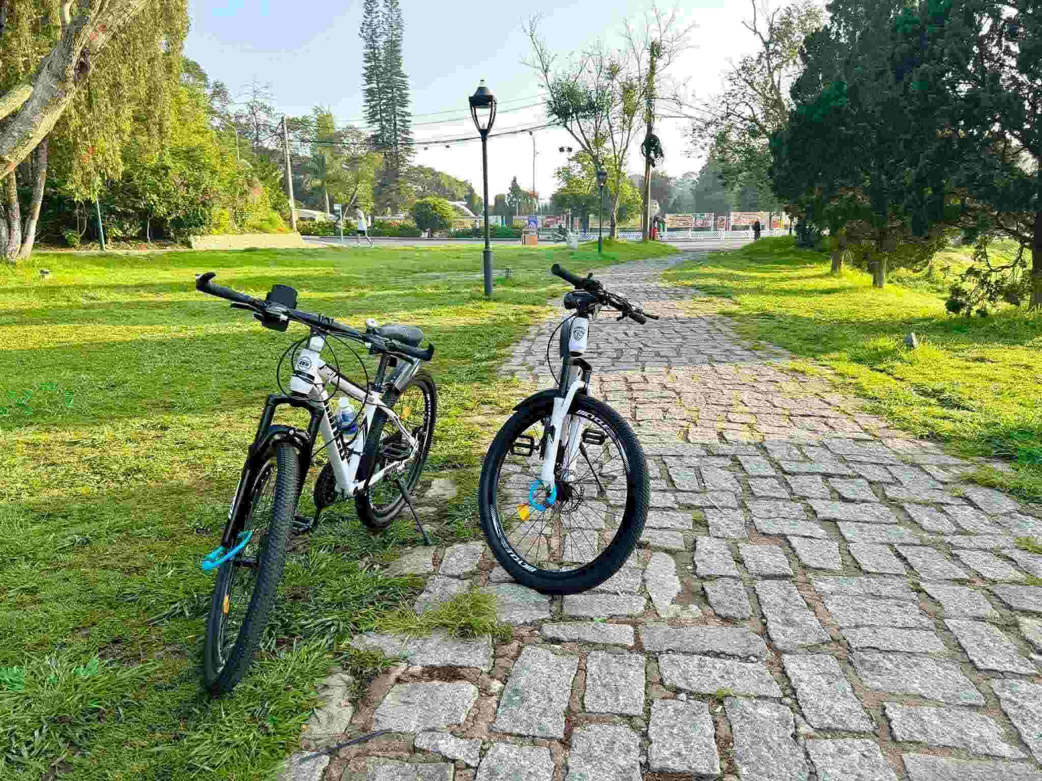 thuê xe đạp Đà Lạt Dạo Quanh Đà Lạt