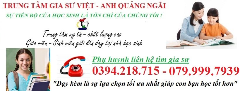 Trung tâm gia sư Việt Anh Quảng Ngãi