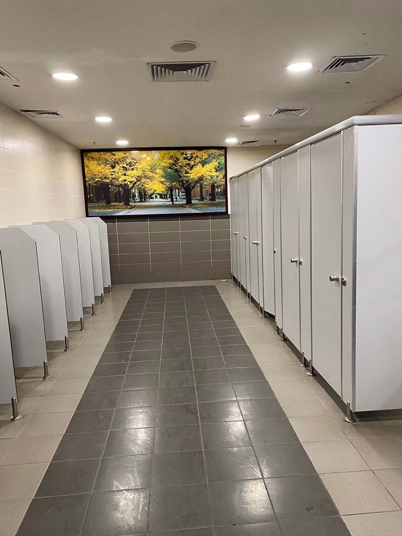Công ty Việt Dũng