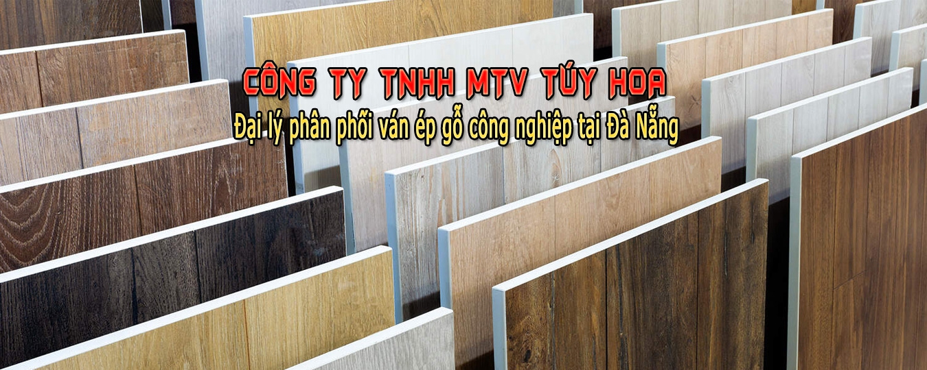 Công Ty TNHH MTC Túy Hoa