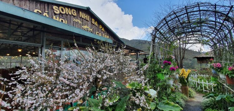 Nhà hàng ở Sapa - Song Nhi