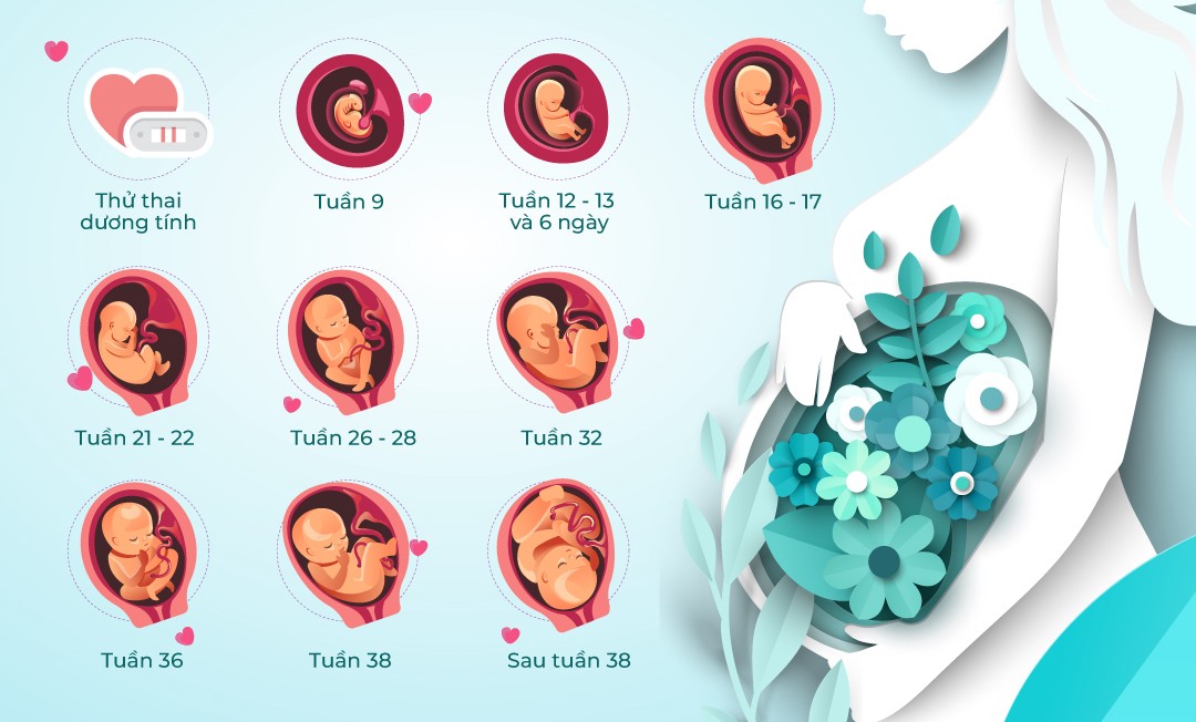 Siêu Âm Thai Định Kỳ