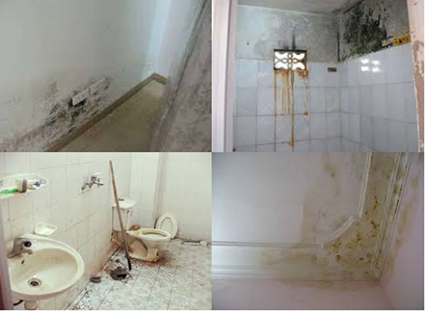 cách chống thấm nhà vệ sinh