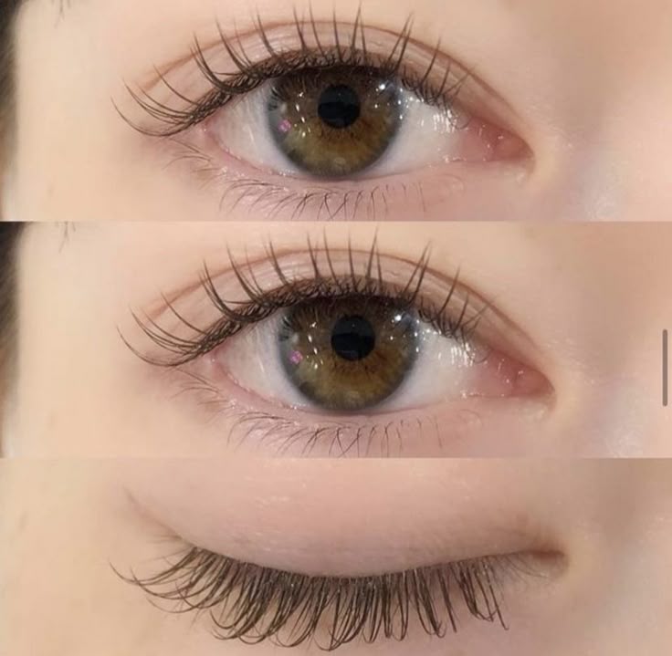 nối mi Sóc Trăng