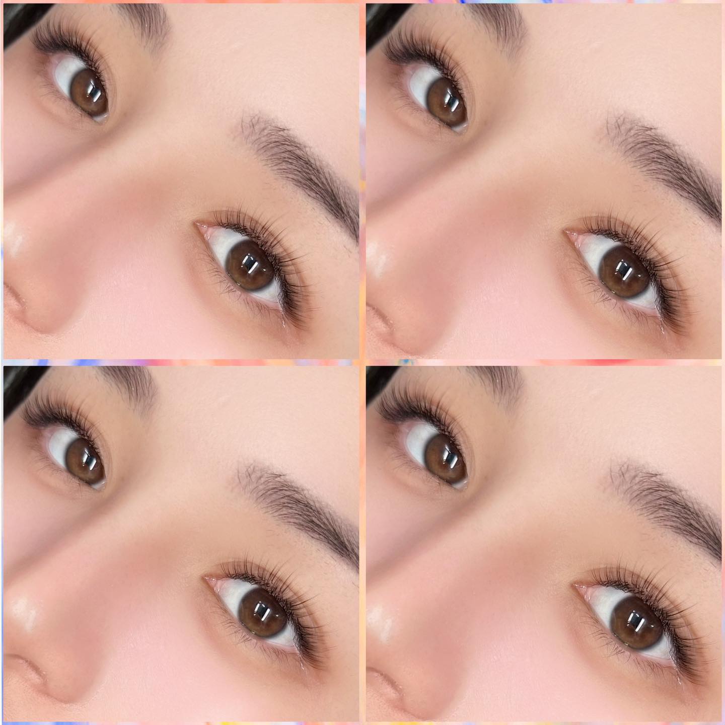 nối mi thái nguyên