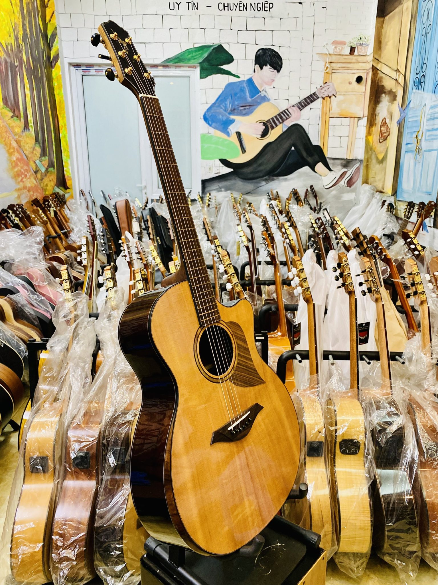 shop guitar hưng yên