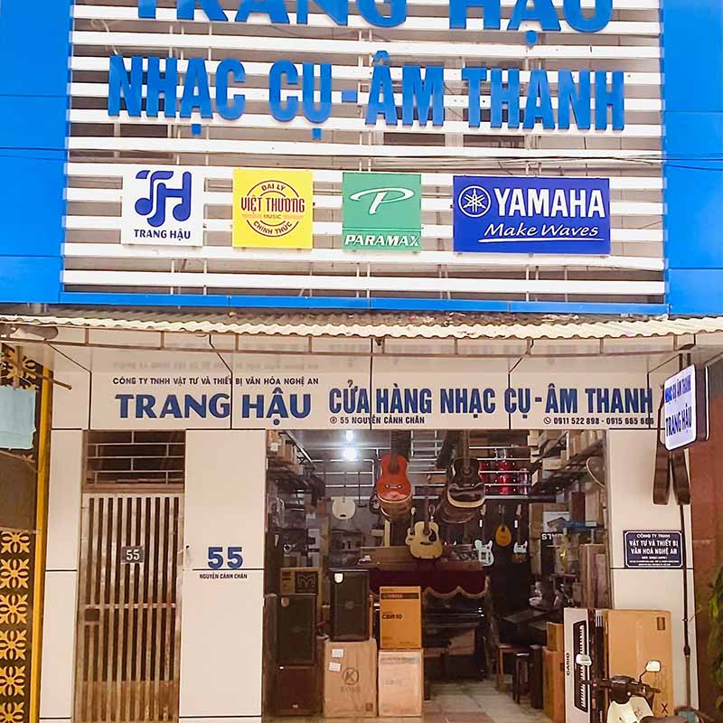 shop guitar Vinh