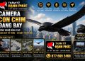 Tìm Người Bỏ Trốn: Giải Pháp Chuyên Nghiệp Từ Thám Tử Hạnh Phúc